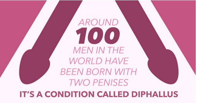 about_your_penis_10.jpg\
